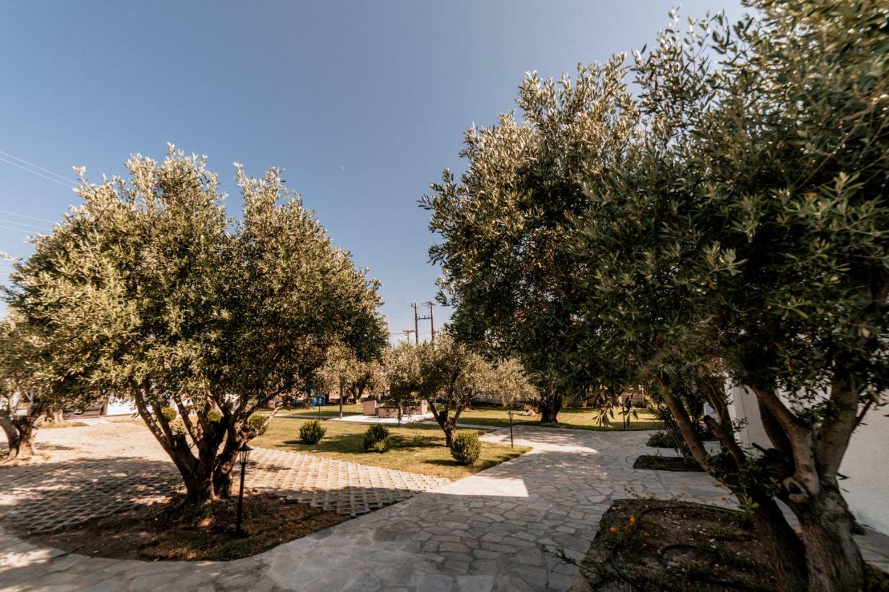 Cyclades Luxury Studios Nea Poteidaia Exterior photo